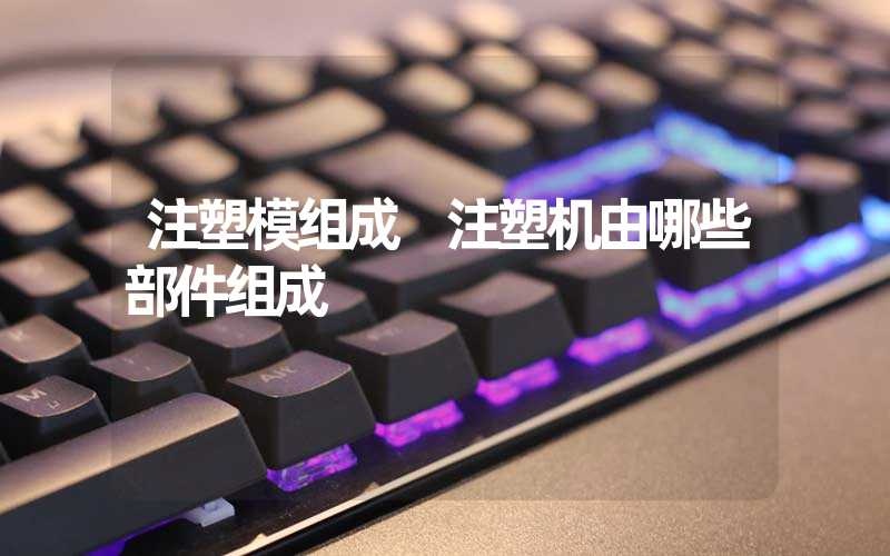 注塑模组成 注塑机由哪些部件组成